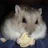 Dejmond's profile picture