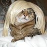 pssycat's profile picture