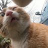 haiya's profile picture