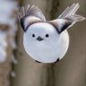 Фото профиля ふくちゃん