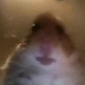 Benjamin Penna's profile picture