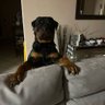 lemarthomas85's profile picture