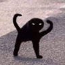 Private Nibbles's profile picture