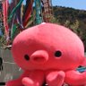 Фото профиля 🌊🐙たこの悪あがき🌊🐙