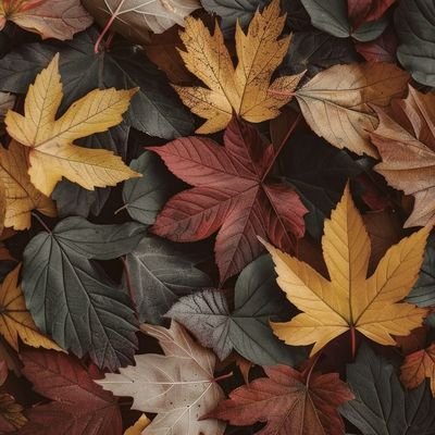Gcinahlophe24's profile picture