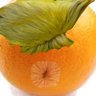 The Rotten Orange's profile picture