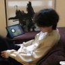 。。。。 的头像