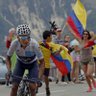 Фото профиля Javier Herrera