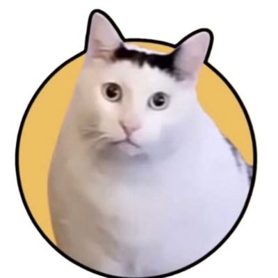 huhcat_official's profile picture