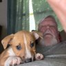 John Morgan profil fotoğrafı