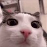 Tau's profile picture