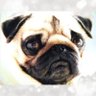 miruruさん's profile picture