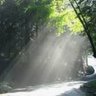Фото профиля こもれび