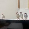 まあこ 的头像