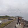 t宏 遠投かご釣り profil fotoğrafı