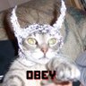 Profilbild von bleksinski