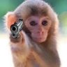 Profilbild von andi