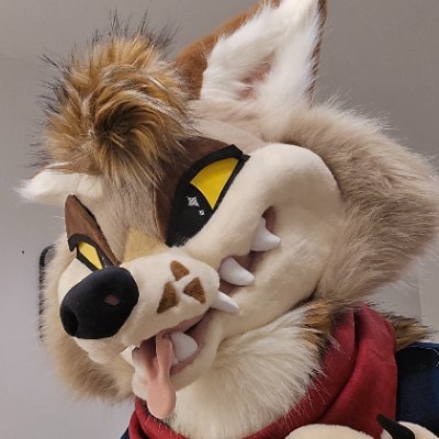 Casey Yotie 🔜 EF's profile picture