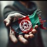 Abdullah🇦🇫🇦🇫's profile picture