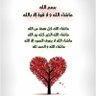 Profilbild von شمس اللقاء 🫡