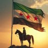 ابن الشمال السوري's profile picture