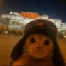MUGGLE's profile picture