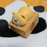 橘恭介（たちばな きょうすけ）'s profile picture