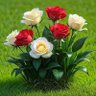 Profilbild von Rose