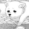 刹那(ᐡ⸝⸝• ̫ •⸝⸝ᐡ)寂しがりやの子犬 的头像