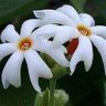 Profilbild von Vijayalakshmi 7003794984