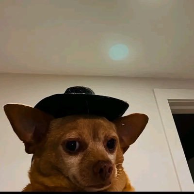 Slut4her🥵's profile picture