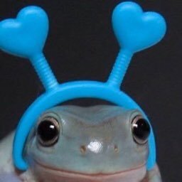 frogcap's profile picture