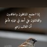 Mahmoud Syam's profile picture