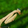 Фото профиля pedro marques