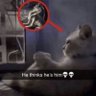 jfisir 的头像