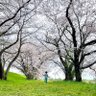ニコ山 的头像