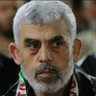 محمد 🇵🇸 的头像