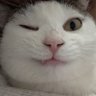 aaron profil fotoğrafı