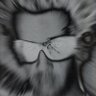truman profil fotoğrafı