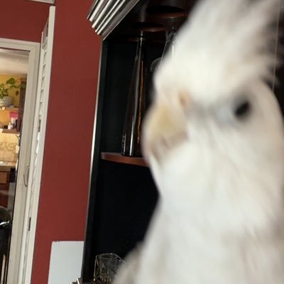 mommylonglegss_'s profile picture