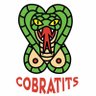 COBRATITS 的头像