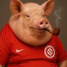 Gordo Chonho Colorado 的头像