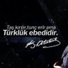 Sadece Bozkurt's profile picture