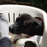 Marisol profil fotoğrafı