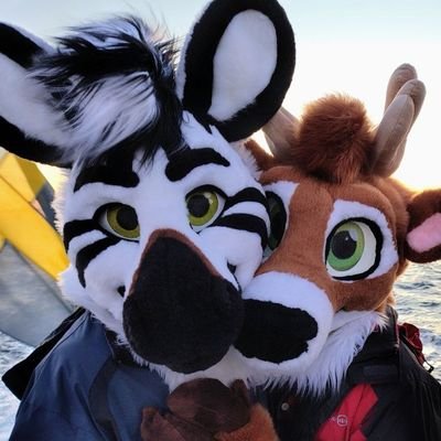 DashingZeeb's profile picture
