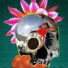 LLOfi's profile picture