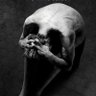 Profilbild von RasPutin