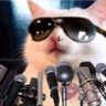 Profilbild von BishoFSA