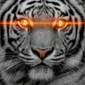 ₿TCMaxi's profile picture