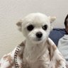 MamiMami's profile picture